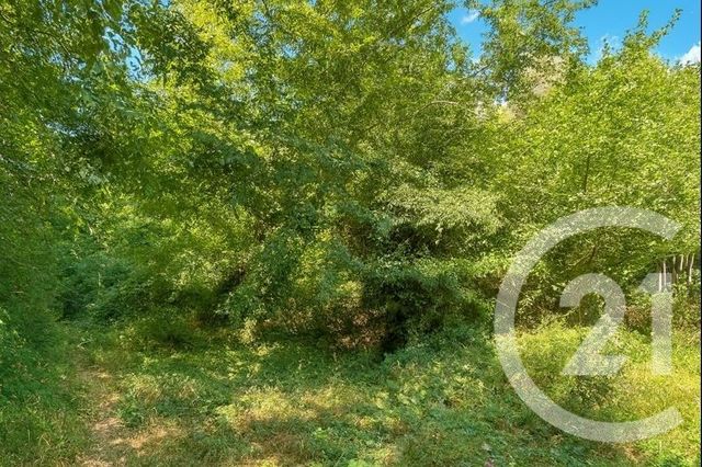 Appartement Duplex &agrave; vendre - 4 pi&egrave;ces - 66,46 m2 - Gorbio - 06 - PROVENCE-ALPES-COTE-D-AZUR