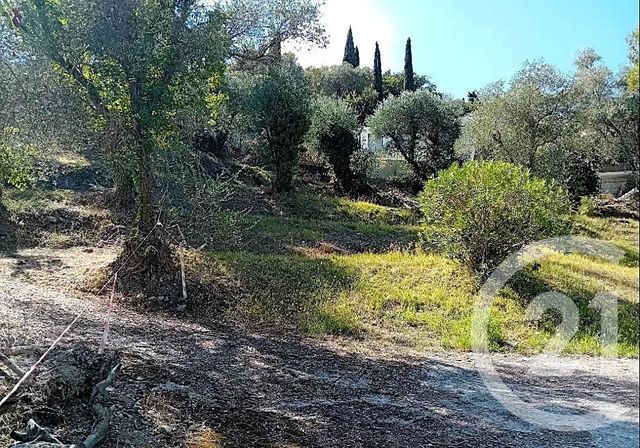 Terrain à vendre - 1541 m2 - Roquebrune Cap Martin - 06 - PROVENCE-ALPES-COTE-D-AZUR