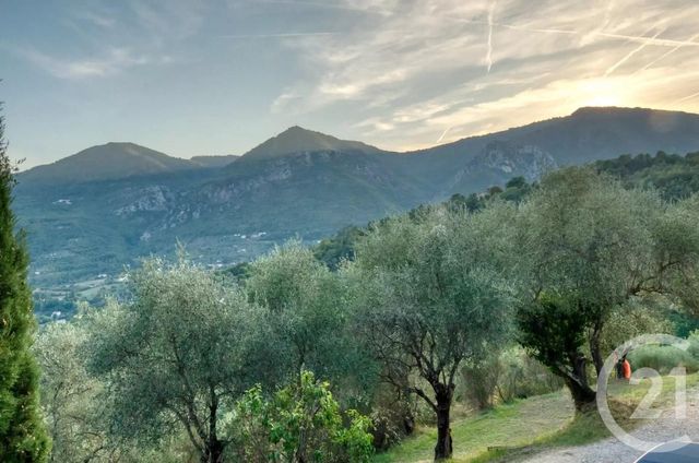 Maison &agrave; vendre - 6 pi&egrave;ces - 240 m2 - Sospel - 06 - PROVENCE-ALPES-COTE-D-AZUR